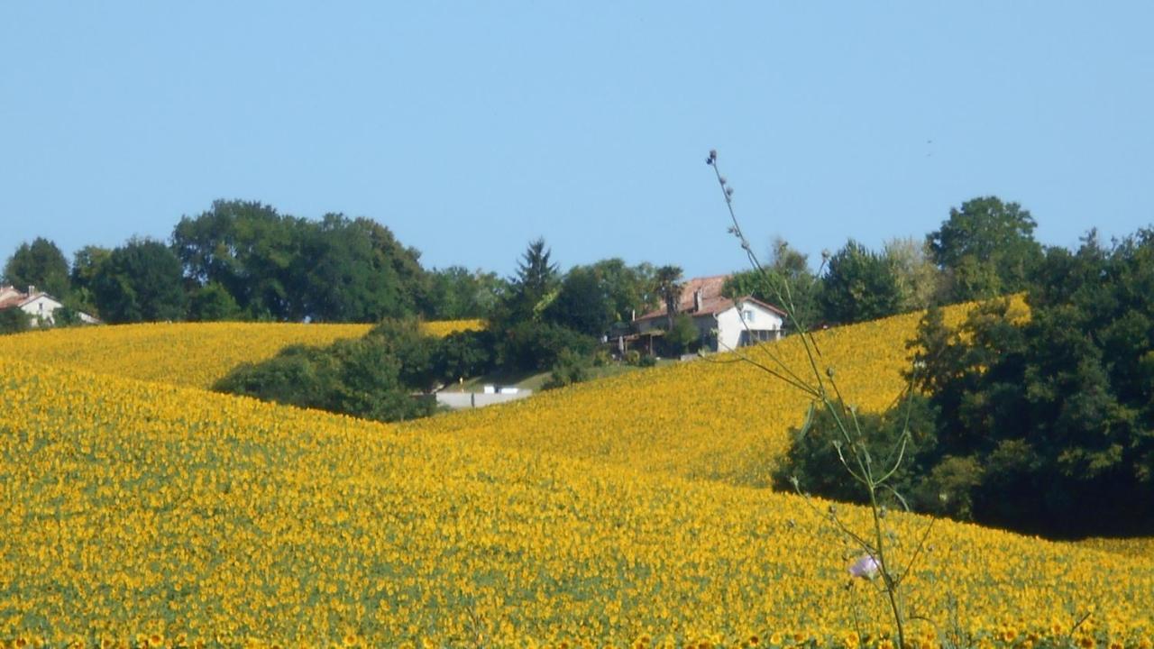 La Tranquillite, Le Repos Villa Nanteuil-Auriac-de-Bourzac Exterior foto